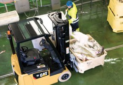 The CAT EP13PNT electric forklifts : equipped to work in the food industry!