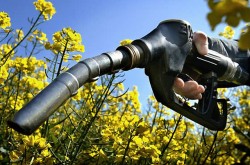 Agrocarburants, nouvelles revendications lors du conseil Energie de Bruxelles