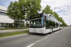 O Man Lion’s City ganha o preço « Ônibus do ano 2015 » !