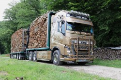 Volvo Trucks à la rencontre de la filière bois