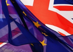 Brexit et TRM : ce que prévoit le gouvernement s'il n'y a pas d'accord