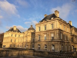 Retour à la vignette ?