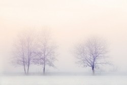 Premières neiges : 7 départements en vigilance