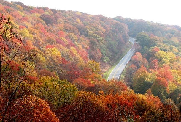 Driving in Fall: the risks to avoid