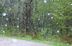 Neige-verglas : 22 départements en vigilance orange